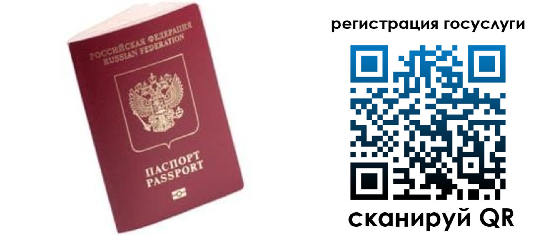 прописка поиск в Болотном